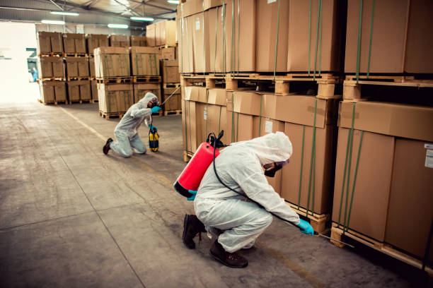 Best Mosquito Control Services  in Nanticoke, PA