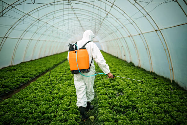 Best Best Pest Control Companies  in Nanticoke, PA
