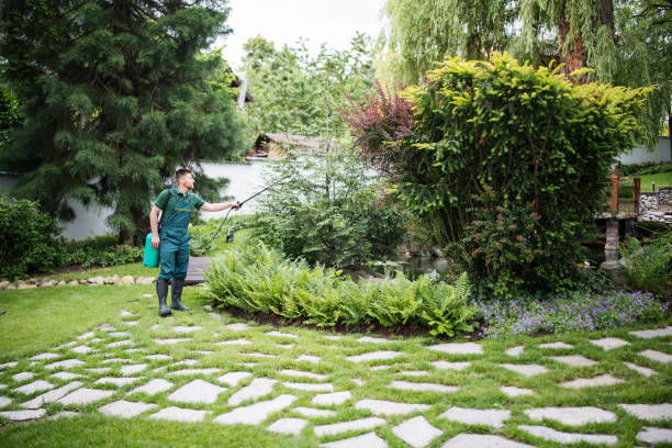 Best Pest Control Near Me  in Nanticoke, PA