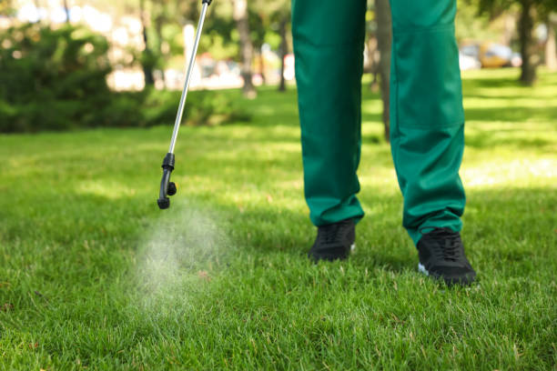 Best Affordable Pest Control Services  in Nanticoke, PA