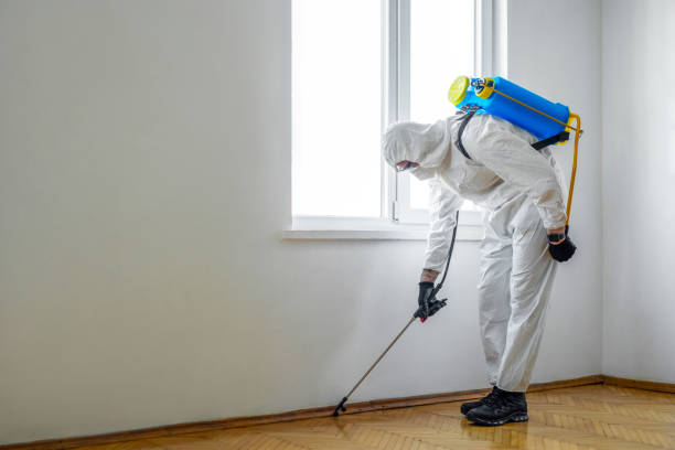 Pest Prevention Services in Nanticoke, PA