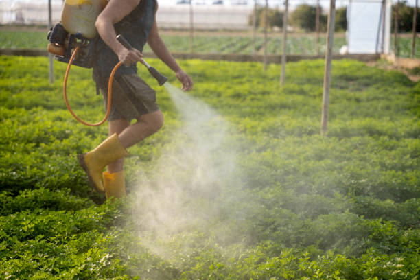 Best Pest Inspection Near Me  in Nanticoke, PA