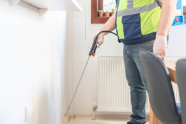 Best Termite Control Services  in Nanticoke, PA