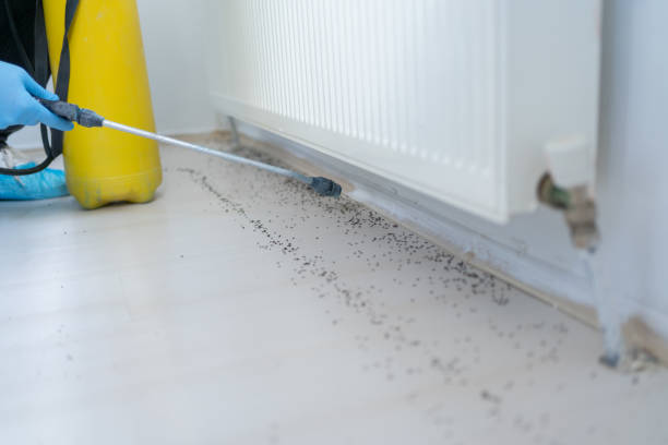 Pest Control Cost in Nanticoke, PA