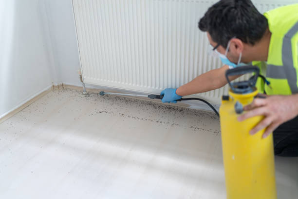 Best Emergency Pest Control  in Nanticoke, PA