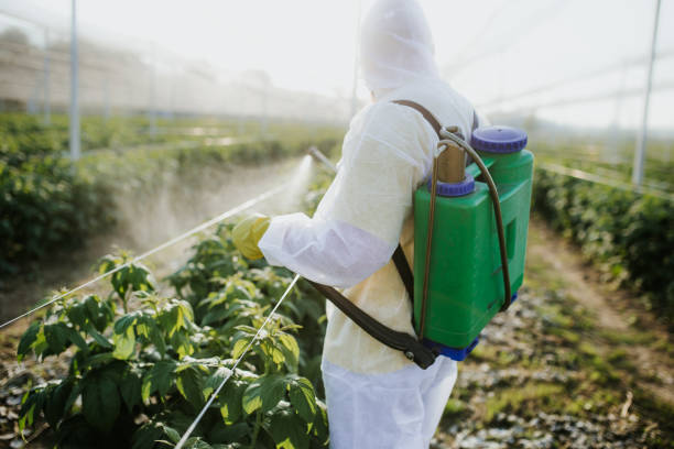 Best Pest Control Near Me in Nanticoke, PA